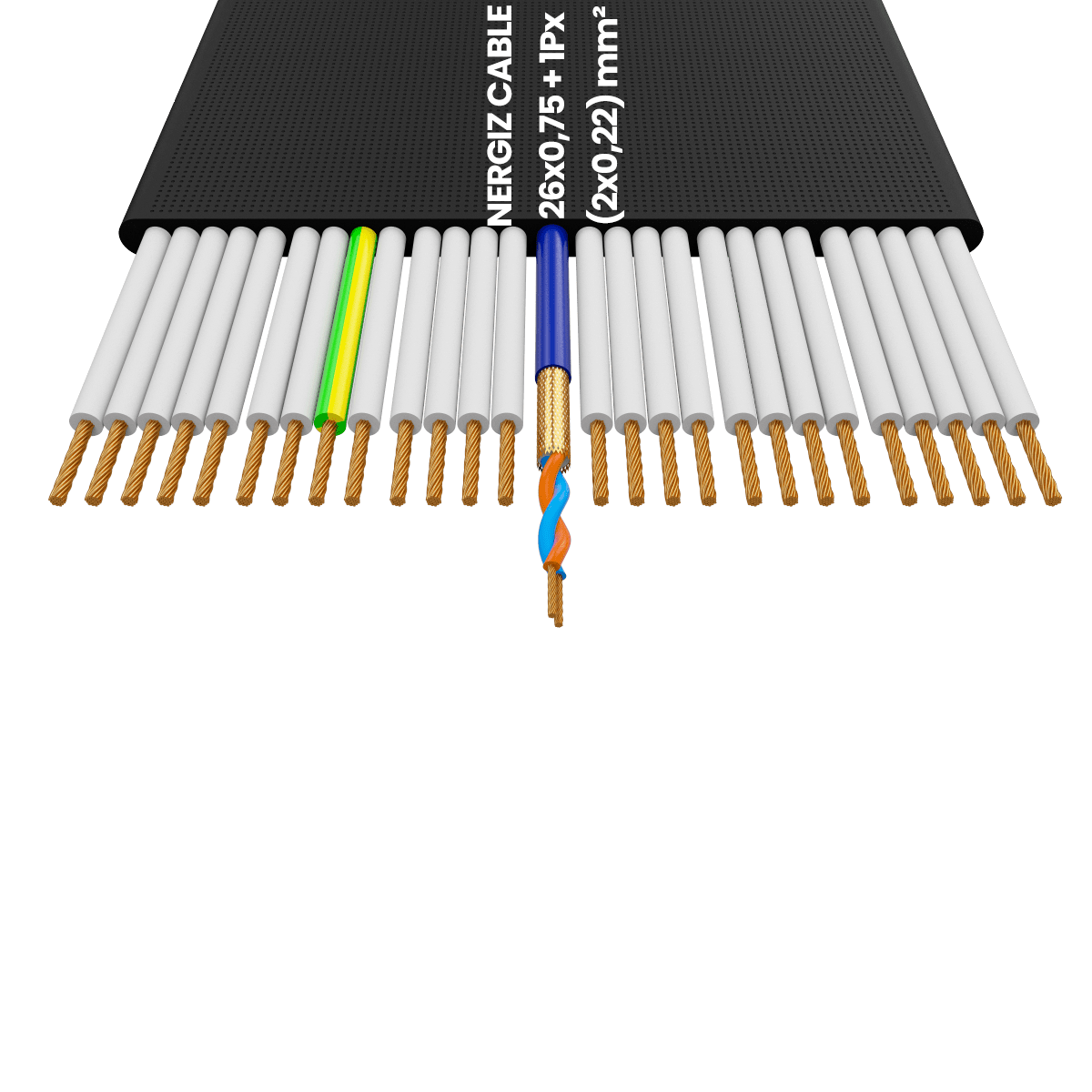 26x0.75 + 1Px(2x0.22) mm2 Folyolu Standart Yassı Kablo