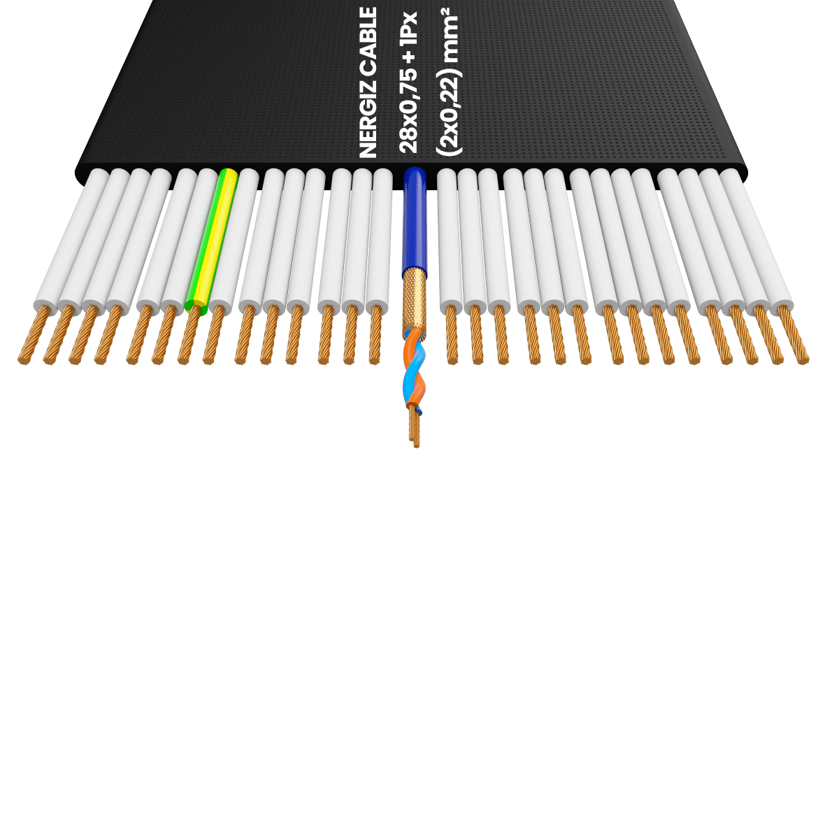 28x0.75 + 1Px(2x0.22) mm2 Folyolu Standart Yassı Kablo