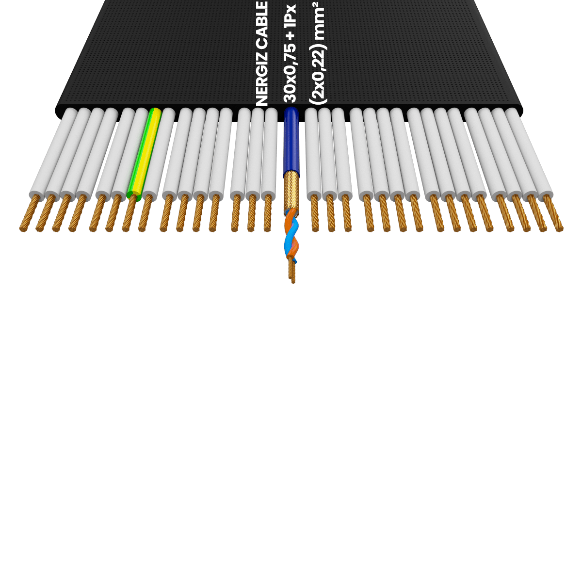 30x0.75 + 1Px(2x0.22) mm2 Folyolu Standart Yassı Kablo